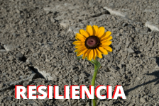 Resiliencia