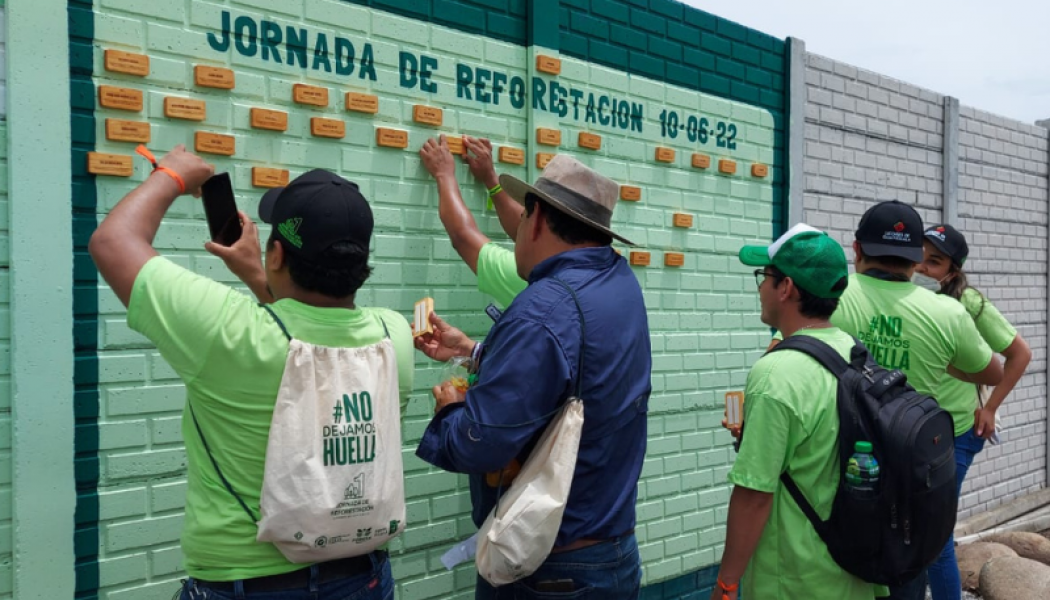 Licores de Guatemala realiza su primera jornada de reforestación