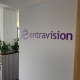 Entravision Cisneros Interactive
