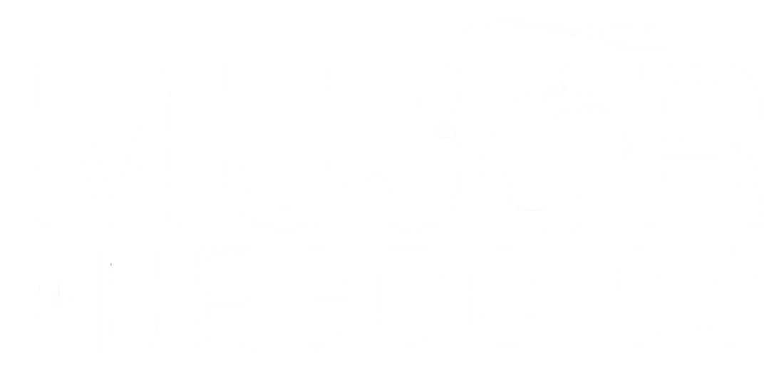 Revista Mujer de Negocios